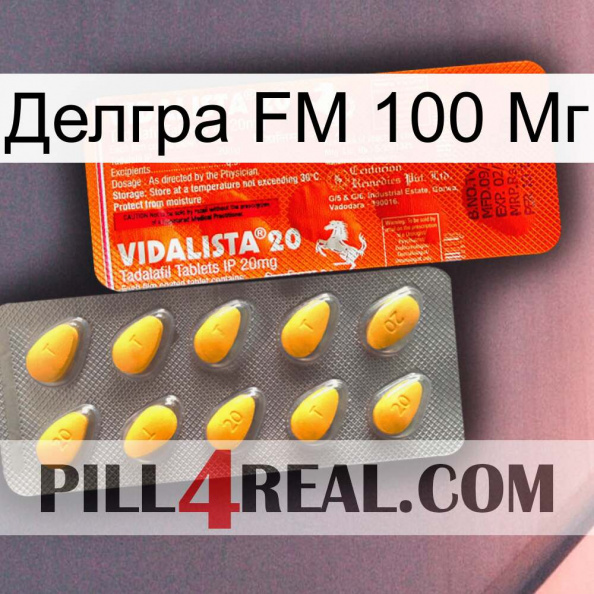 Делгра FM 100 Мг new01.jpg